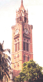 The Library of University of Mumbai, India